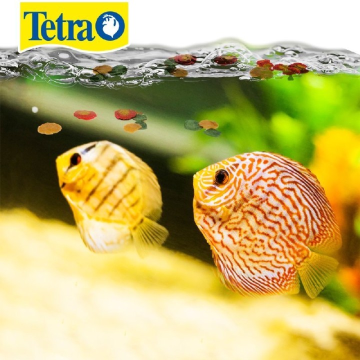TETRA PRO COLOR CRISP 210GR7.41OZ