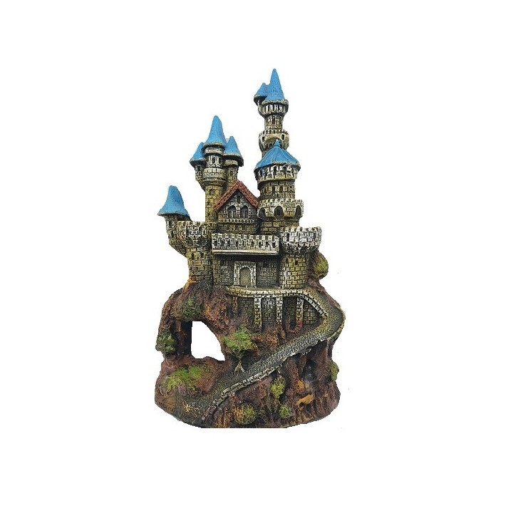 AD. CASTILLO PLANO GRANDE