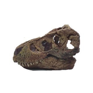 AD. CRANEO DE T. REX DE ACCION