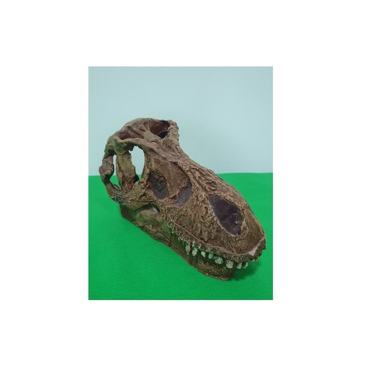 AD. CRANEO DE T. REX DE ACCION