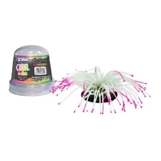 ANEMONA FLUORECENTE LOMAS