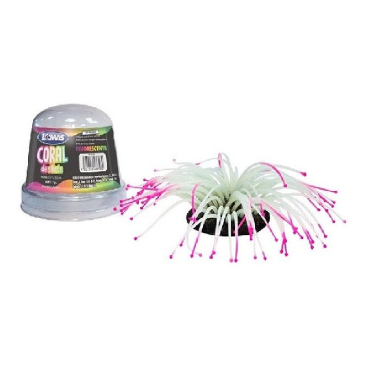 ANEMONA FLUORECENTE LOMAS