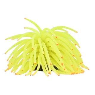 ANEMONA GDE COLORES SURTIDOS