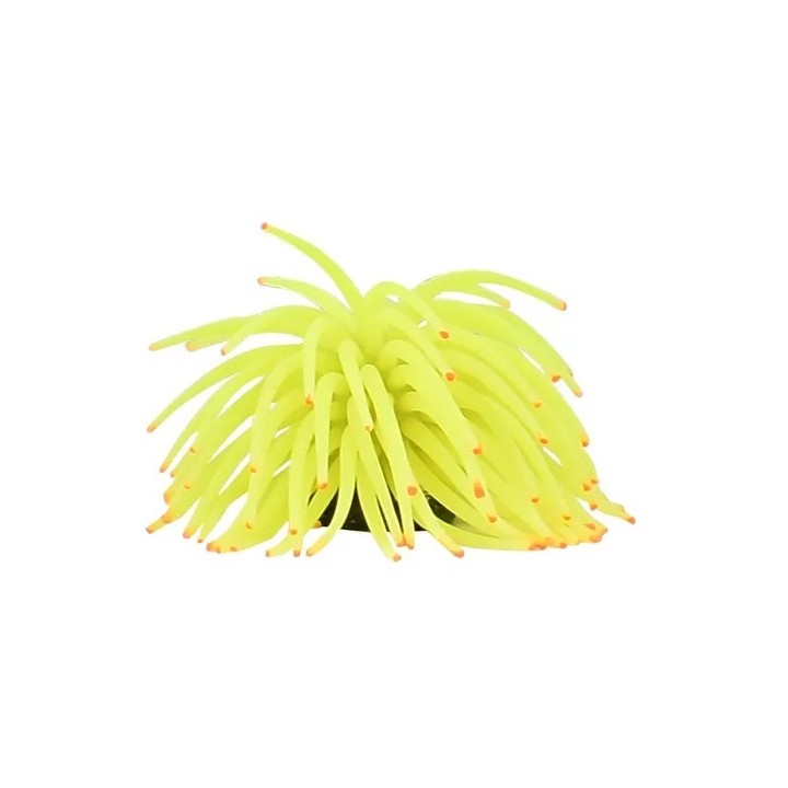 ANEMONA GDE COLORES SURTIDOS