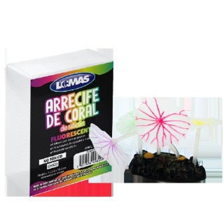 ARREC DE CORAL FLUOREC. CHICO F.P.