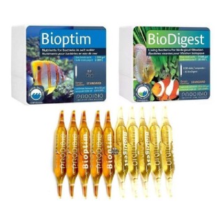 BACTERIA BIODIGEST 30 AMPOLLETAS