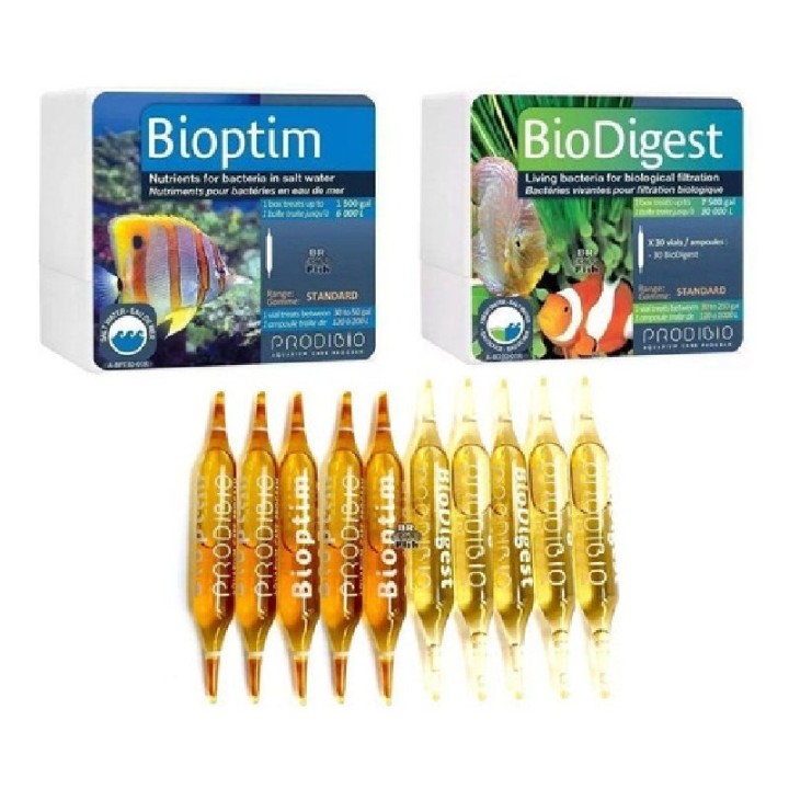 BACTERIA BIODIGEST 30 AMPOLLETAS
