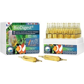 BACTERIA BIODIGEST PRO AMPOLLETA