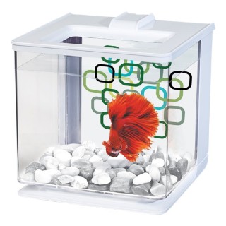 BETTA KIT AUTOLIMPIEZA BLANCO 2.5LTS