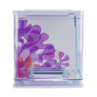 BETTA KIT FLORES 2LTS