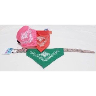 COLLAR NYLON MINI 1.5 CMS. C/PALIACATE