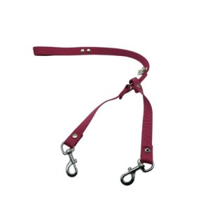 CORREA NYLON 2 CM CHICA PARA 2 PERROS