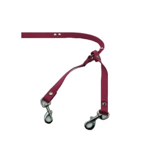 CORREA NYLON 2.5 CM GRANDE PARA 2 PERROS