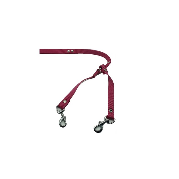 CORREA NYLON 2.5 CM GRANDE PARA 2 PERROS