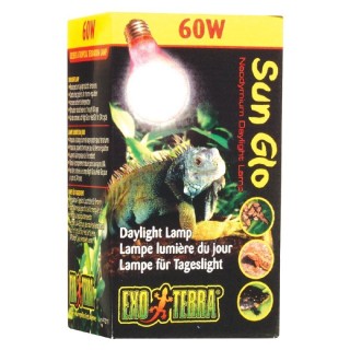 FOCO DAY-GLO 60W. SPECTRUM