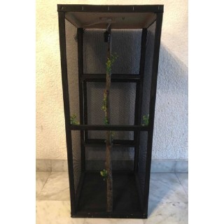 IGUANARIO EXGDE FERI 40X40X100CM NEGRO
