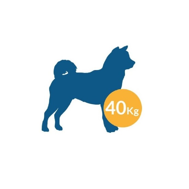 JAULA MET. IMP. DOGGY DWB-5000 107X70X75cm PUERTA VERTICAL