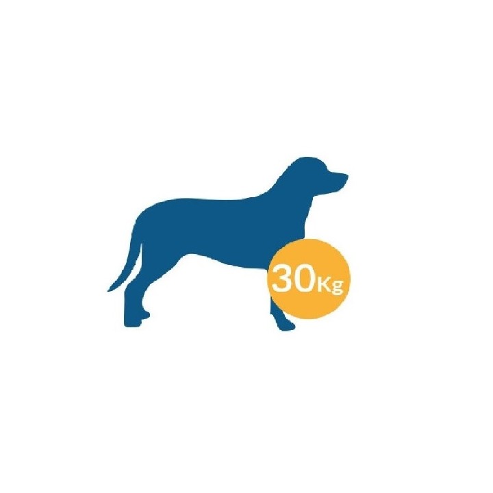 JAULA MET. DOGGY DWB-4000 92X57X62cm PUERTA VERTICAL