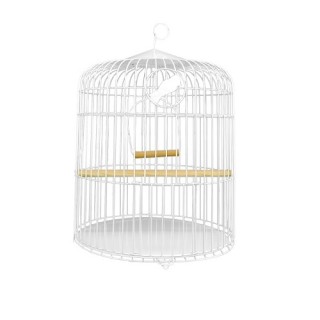 PERIQUERA MEDIANA(40X45CM)