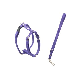 JUEGO DE CORREA Y PECHERA FERRIONI No1 ECO CHIHUAHUA