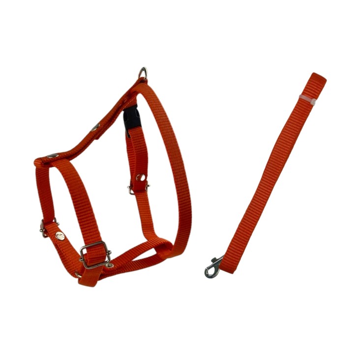 JUEGO DE CORREA Y PECHERA COLUMPIO No 1.5 ARNES CHICA