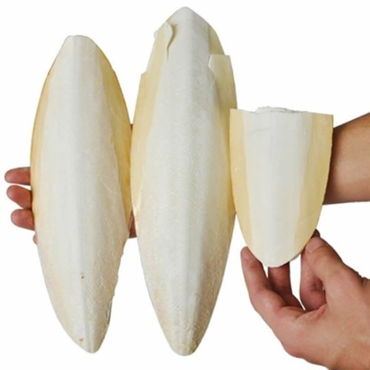 JIBIA PARA AVES KILOS