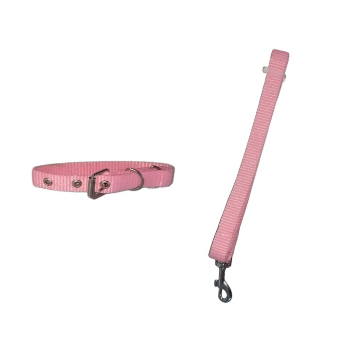 JUEGO CORREA Y COLLAR NYLON 2CM. CHICO