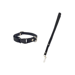 JUEGO DE CORREA Y COLLAR NYLON No 1 ECO CHIHUAHUA