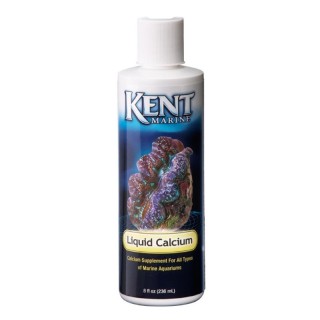 KENT LIQUID CALCIUM 236ML.