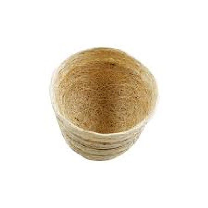 NIDO DE ZACATE P/AVES CANORAS