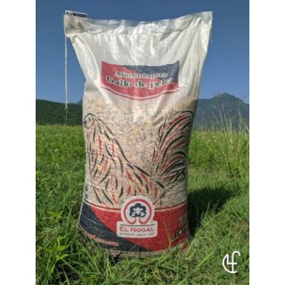 NOGAL MANTENIMIENTO FORMULA GORY 40KG