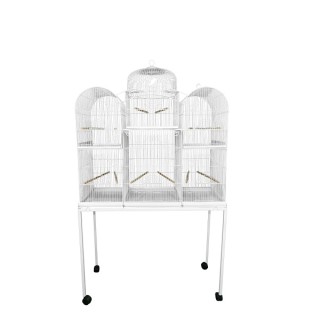 PAJARERA SAN MARQUEÑA C/BASE