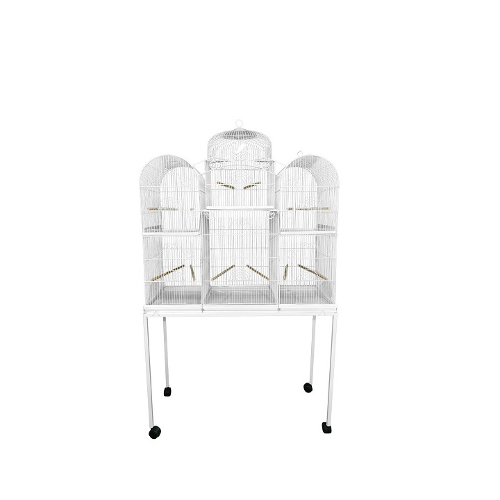 PAJARERA SAN MARQUEÑA C/BASE