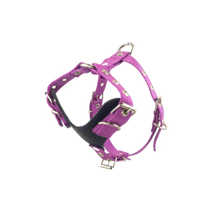 PECHERA PUPPY MEDIANA