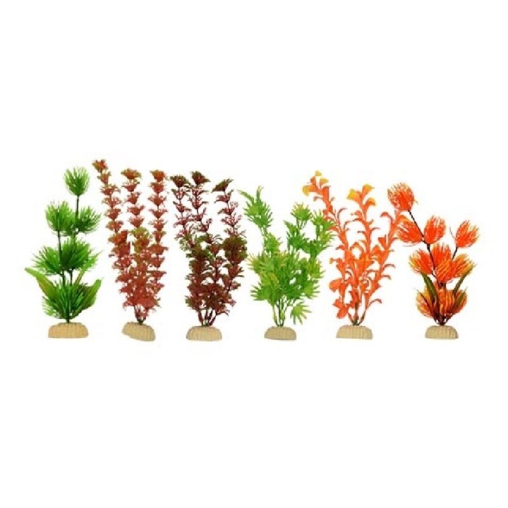 PLANTA SUNNY IMP BOLSA NARANJA 8 6 PZAS