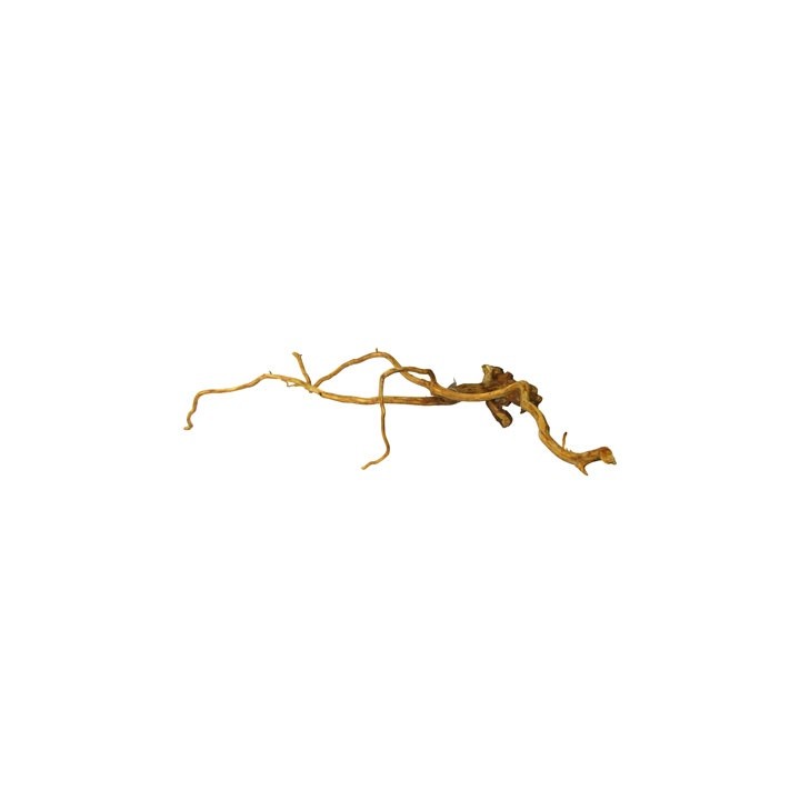 RAIZ DE VIÑEDO 20X30CM