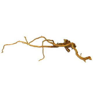 RAIZ DE VIÑEDO 50X70CM