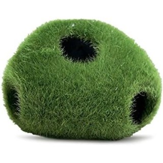 ROCA ESCONDITE MUSGO CHICA