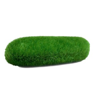 ROCA PLANA MUSGO MEDIANA