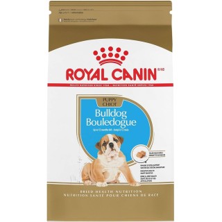 ROYAL BHN BULL DOG PUPPY 13.63 KGS.