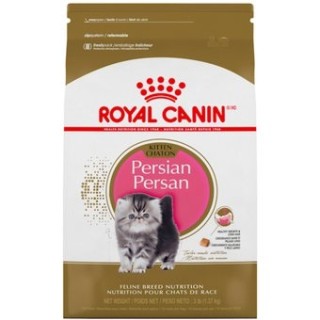 ROYAL PERSIAN KITTEN 1.3KGS