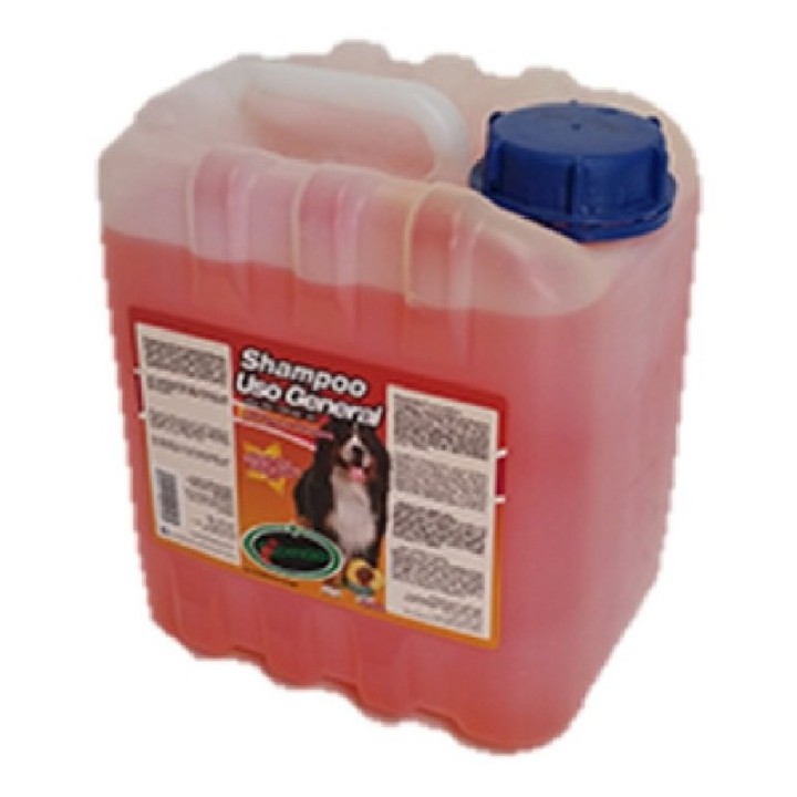 SHAMPOO USO GENERAL 10LT.