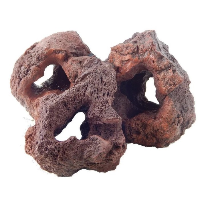 TEZONTLE ESQUELETO GDE.