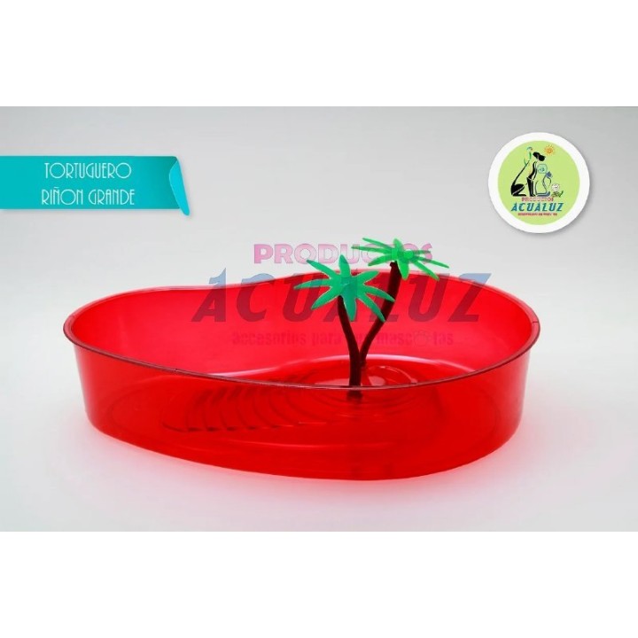 TORTUGUERO DE RIÑON GDE.