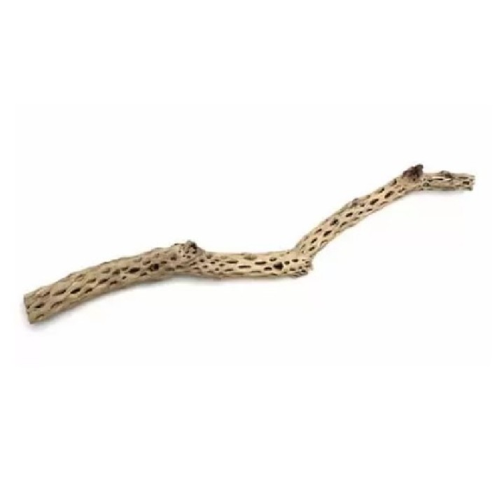 RAMA CARDENCHE GRANDE