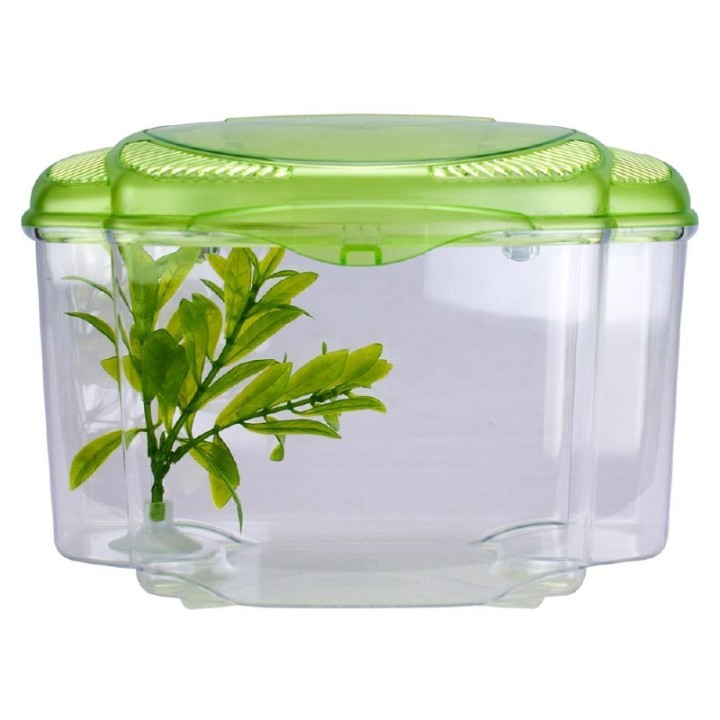 BETTA KIT VERDE 0.5GAL (1.8L)
