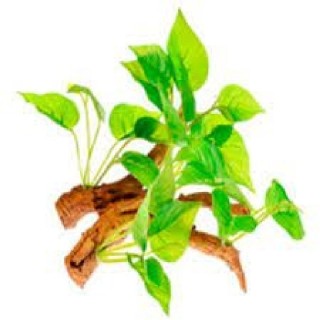 RAIZ C/PLANTAS 3 15X10X14CM