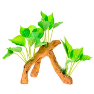 RAIZ C/PLANTAS 4 17X9X15CM