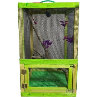 IGUANARIO CHICO FERI 30X30X50CM VERDE