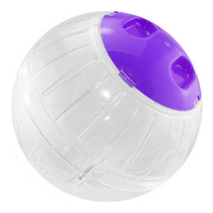 EXERCISE BALL L 14.5/5.7 V. COLORES VIOLETA